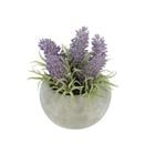 LAVENDER IN CEMENT POT PURPLE 718-04899
