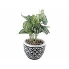 ARTIFICIAL PLANT W/ POT BR&GREEN 718-2400724
