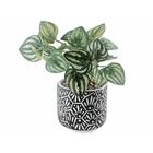ARTIFICIAL PLANT W/ POT BR&GREEN 718-2400725