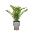 ARTIFICIAL PLANT W/PLASTIC POT 718-2401959