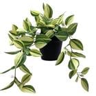 ARTIFICIAL PLANT W/PLASTIC POT 718-2401972