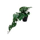 ARTIFICIAL PLANT W/PLASTIC POT 718-2401974