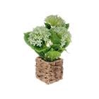 HYRANGEA IN RATTAN BASKET 718-2402427