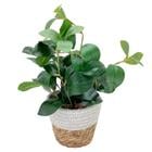 ARTIFICIAL PLANT WITH POT 718-38890