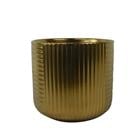 PLANTER 796-ASDEC052-342-A GOLD 796-ASDEC052A