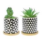 ARTIFICIAL PLANT WT POT 718-37691