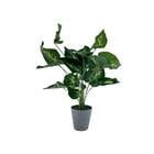 ARTIFICIAL PLANT W/POT 718-38567