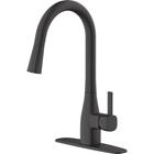 Home Impressions 1-Handle Pull-Down Kitchen Faucet, Matte Black 492098