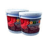 Kaleidoscope Weather Master Tint Base .946 L D204-CLB238001