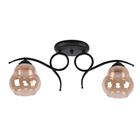 2L CEILING LAMP MATT BLK E27 40W 20919-2