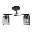 2L CEILING LAMP BLACK E27 40W 21255-2