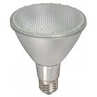 10W OUTDOOR LED BULB E27 21753-1