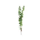 Eucaliptus Smell Short 30" 833-2427-07007