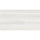 FOSSILE AC 12"X24" 7PCS 8044460