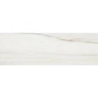 FOSSILE BR 4"X12" 34PCS 8043883