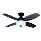 HUNTER FAN 42" CENTRAL PARK BLACK OAK 50619