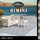 AREA RUGS ASSORTED BIMINI-100X150