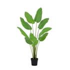 PARADISE TREE GREEN K308377