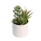 ARTIFICIAL MINI SUCCULENT PLANT K308394