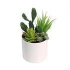 ARTIFICIAL MINI SUCCULENT PLANT K308395