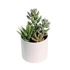 ARTIFICIAL MINI SUCCULENT PLANT K308396