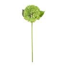 HYDRANDEA MEDIUM L65CM/D20CM K309955