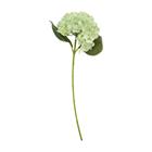 HYDRANGEA MEDIUM L65CM/ D20CM K309956