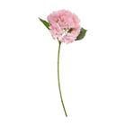 HYDRANGEA MEDIUM L65CM/D20CM K309958