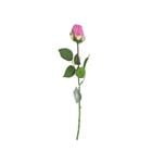 ROSE K309992