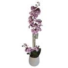 FLOWER ARRANGEMENT ORCHIDS K310079