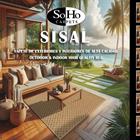 AREA RUGS ASSORTED SISAL-120X170