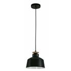 HANGING LAMP MATT BLK E27 40W 1L 23922-2