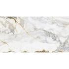 CR.PISA GOLD 24X47 2PCS PAM236472