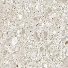 GRE PIETRA DI CREMA 24X24 4PCS PAM242422