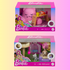 Barbie Pet Accessories Assorted GRG57-RA10W