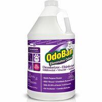 OdoBan Deodorizer Disinfectant Cleaner Concentrate - Concentrate - 128 fl oz (4 quart) - Lavender Scent - 4 / Carton - Deodorize, Disinfectant, Residue-free - Purple