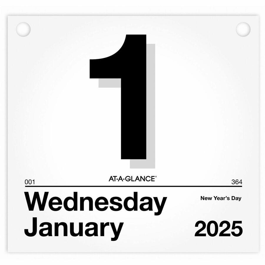 AT-A-GLANCE 2023 Daily Monthly Planner Two Page Per Day Refill, Loose-Leaf,  Desk Size, 5 1/2 x 8 1/2 