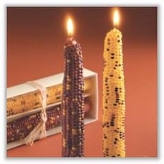 Harvest Corn Taper Candle - 7/8" x  12"  (Sold as a Boxed Pair) tag-ta710973