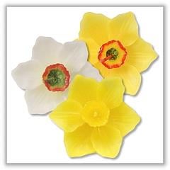 Daffodil Blossom Floating Candles - 3¾" diameter - (Set of 3) bpi-983bp00