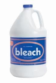 Bleach, 1 Gal, 6/Cs - JAD