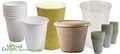 Bulk Disposable Cups & Drinking Containers