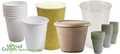 Disposable Cups & Drinking Containers
