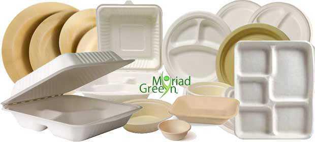 Bulk Biodegradable Take-out Tableware & Serveware