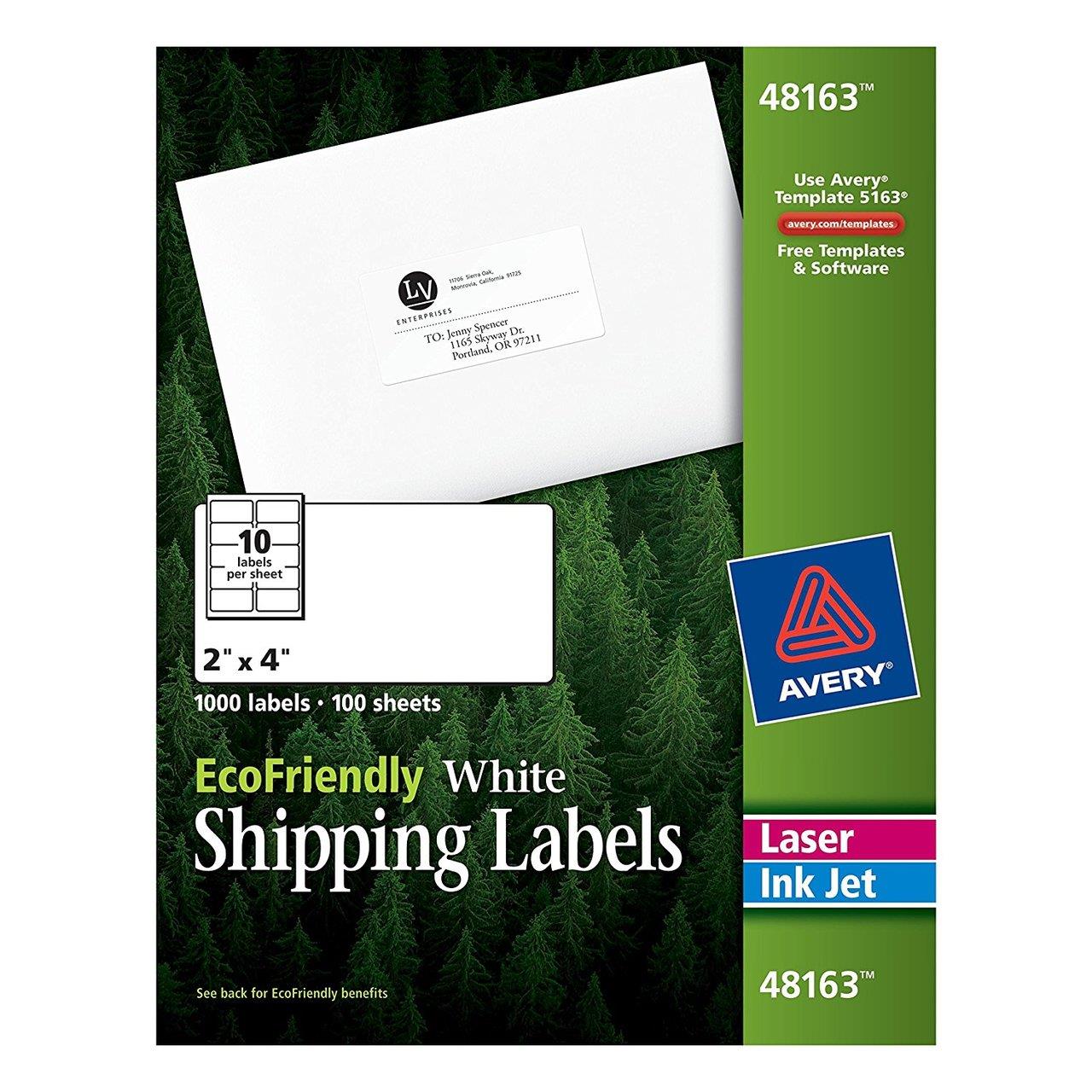 Bulk Printer Address Labels, 2"x4", 100 Sheets Avery 48163 (6 Packs of