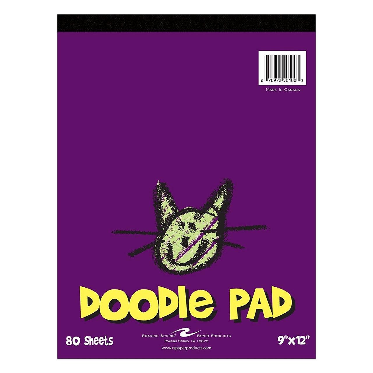 Bulk Kids Doodle Pad, 9x12, 80 Sheets: Roaring Spring 50100 (12 Doodle  Pads)