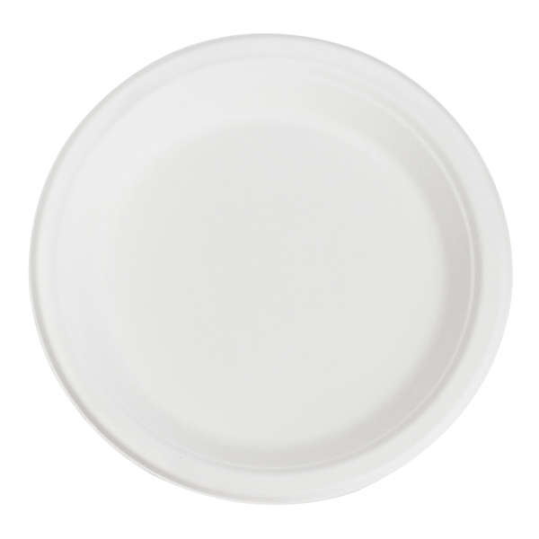 9 in White Paper Plates 500 ct.