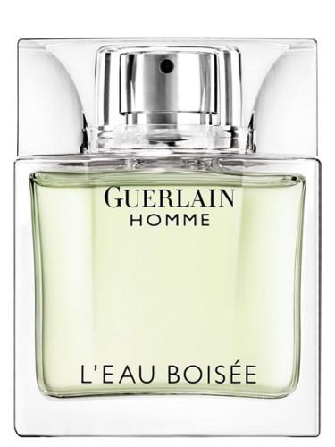 Guerlain Homme L'Eau Boisee - Decanted Fragrances and Perfume