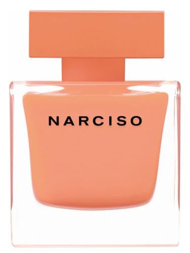 Bekijk het internet Leesbaarheid fout Narciso Rodriguez Ambree EDP Perfume sample - Decanted Fragrances and  Perfume Samples - The Perfumed Court