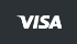 visa-icon
