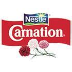 Carnation